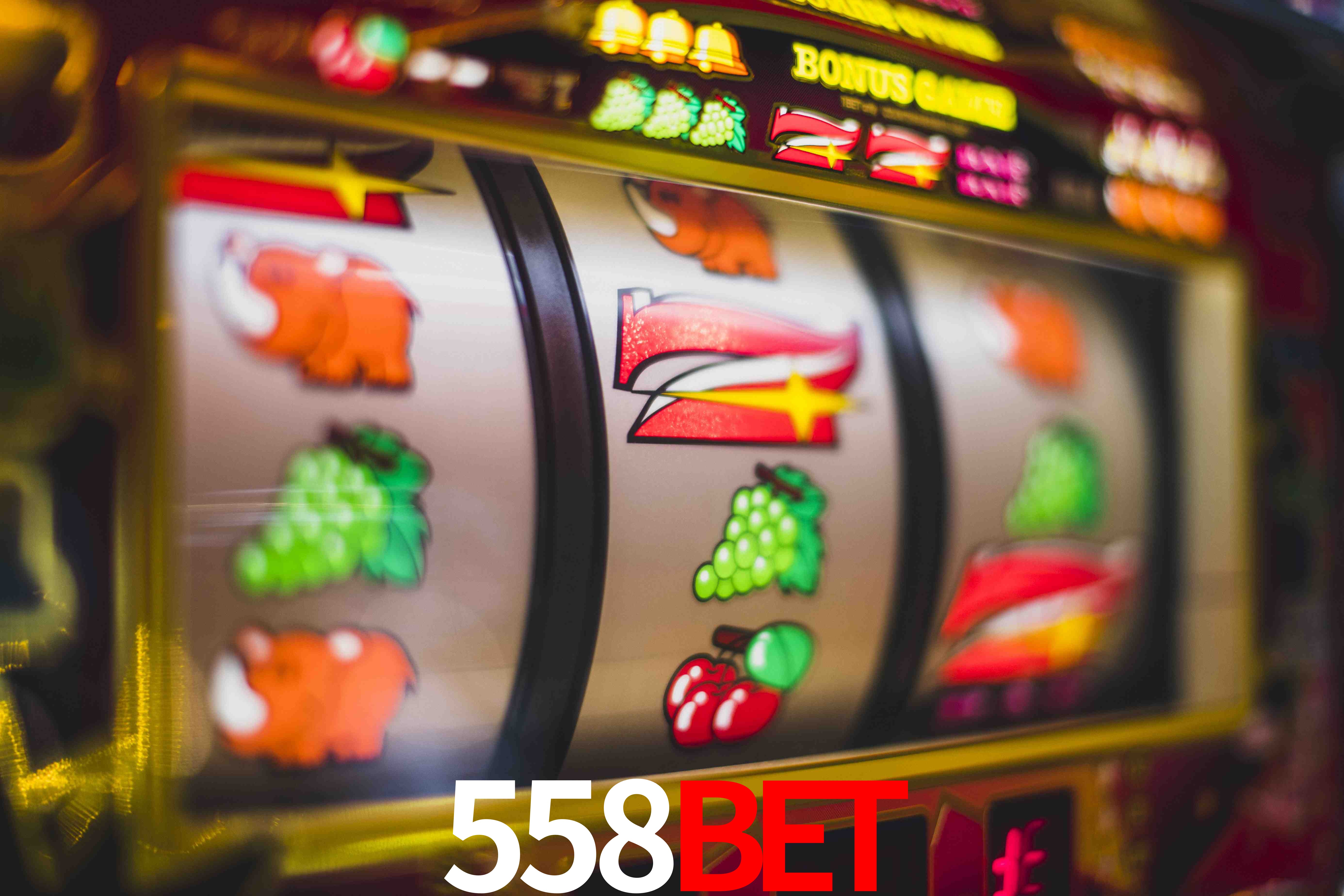 Programa VIP 558bet
